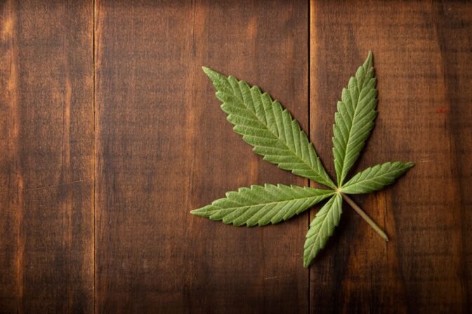 cbd morocco