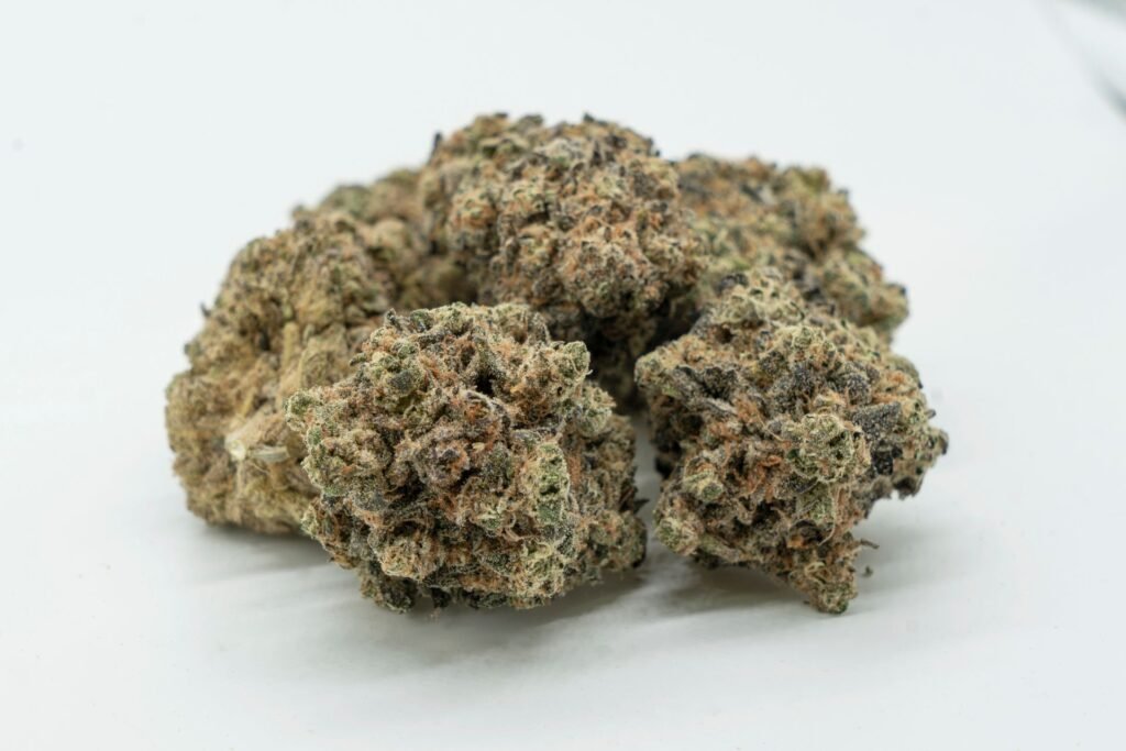 flowers de cbd morocco cannabis morocco anrac cannabis