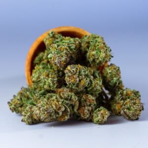 fleurs de cbd flowers maroc grossiste moroccan cbd oil